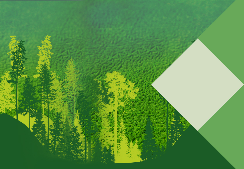 Altret Greenfuels Limited